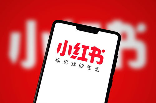 廣州小紅書達人推廣攻略 如何在網(wǎng)絡(luò)科技領(lǐng)域高效開展技術(shù)開發(fā)推廣